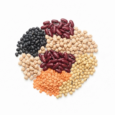 Assortment of legumes on a clean white background, showcasing various beans, lentils, and chickpeas in separate piles, well-lit studio shot